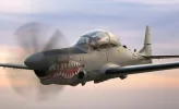 fury.webp