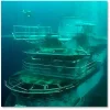 ship.webp