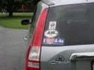 Picture.webp