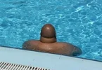 dickhead.webp dickhead.webp