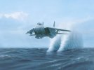 F-14_Tomcat.jpg