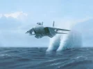 F-14_Tomcat.webp