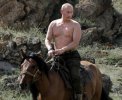 vladimir-putin-on-hoilday-pic-549464373.jpg