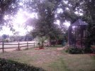 Backyard1.JPG