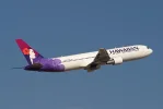 HAL 767.webp