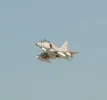 heritage 3.webp