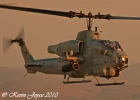 IMG_2490.webp IMG_2490.webp