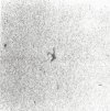 1Mig-17 in turn towards Higbee (2).jpg