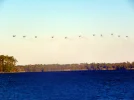 DSCN3973.webp