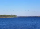 DSCN3974.webp