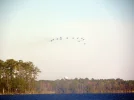 DSCN3967.webp