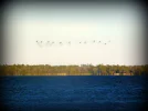 DSCN3970.webp