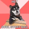 Cool-Dog-Hey-Cool-story-bro41.webp
