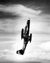 f2h-2_2.webp