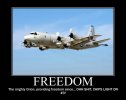 P-3 Freedom.jpg