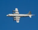 CONA flight.webp CONA flight.webp