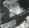MEOW Ice Chest.webp MEOW Ice Chest.webp