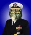 RADM Angus.webp