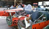 cut up t34 2.webp