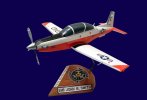 t-6b-texan2-large-model.jpg