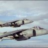 Harrier Dude