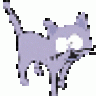 merkat
