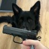 scarybullets