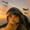 fighter-cat22
