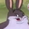 bigchungus1776