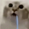 TheBeanLord