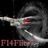 F14Flier7