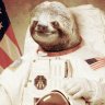 Slothstronaut