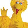 bigbird