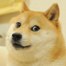 brberghu