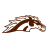SkyBronco