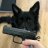 scarybullets