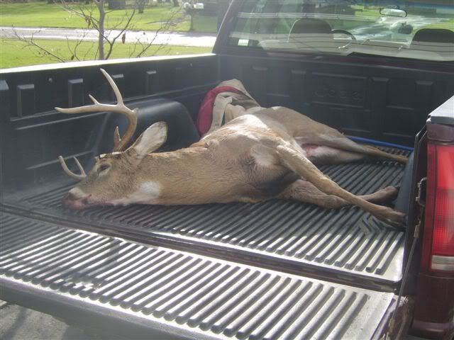 deer004.jpg