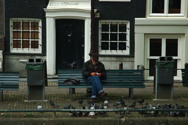 35973650_feedingpigeonscopyweb.jpg