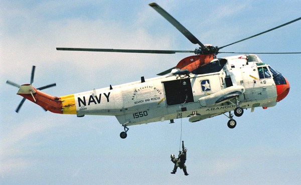 SAR_demo_1.JPG