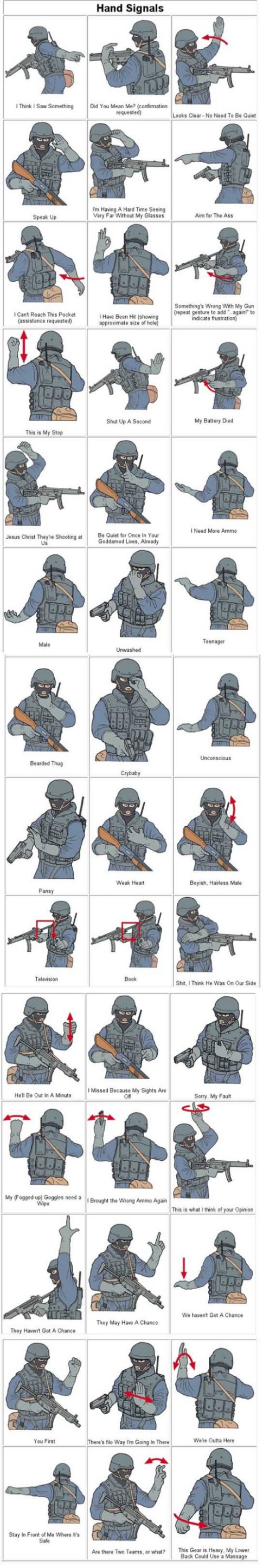 signals.jpg