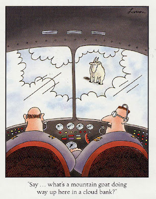 FarSide+1-14.jpg