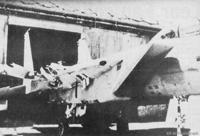 F15Wing1LG02.jpg