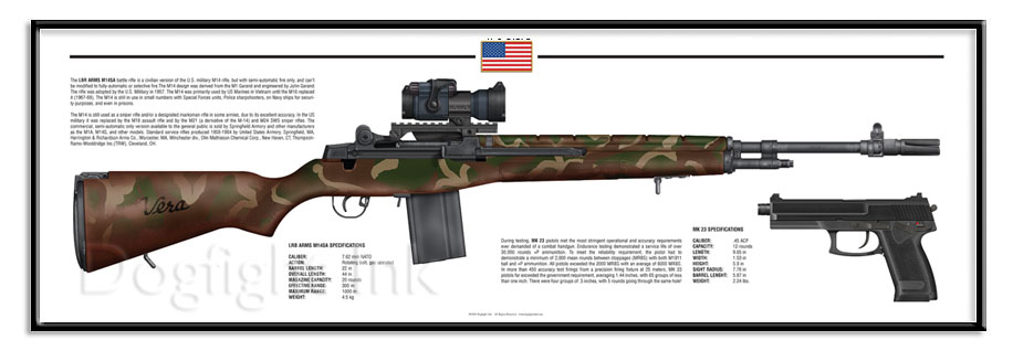 m14william.jpg