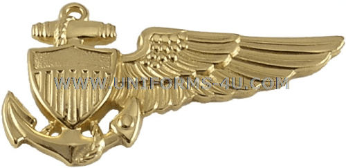 big-u-balloon-pilot-breast-insignia-11109.png