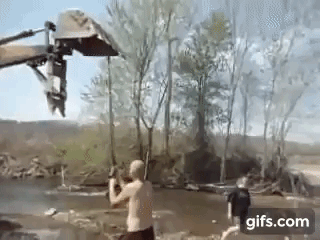 81DK72.gif