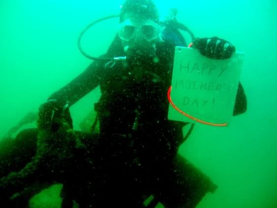 netdive1.jpg