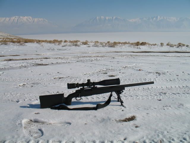 jan07057.jpg