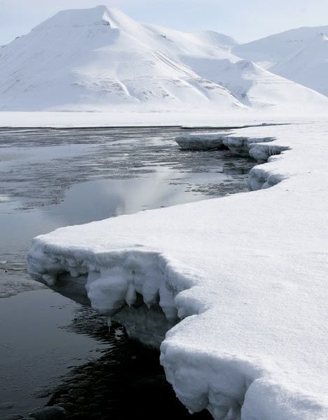 arctic2520pict.jpg