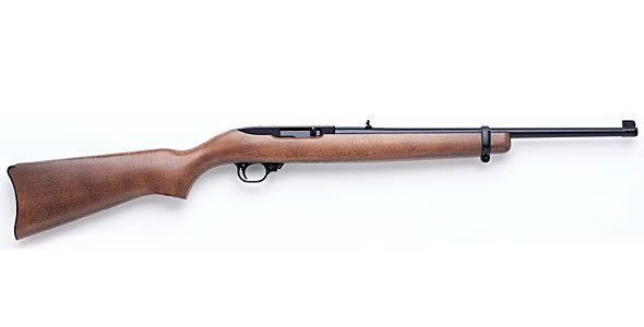 ruger_1022rb.jpg