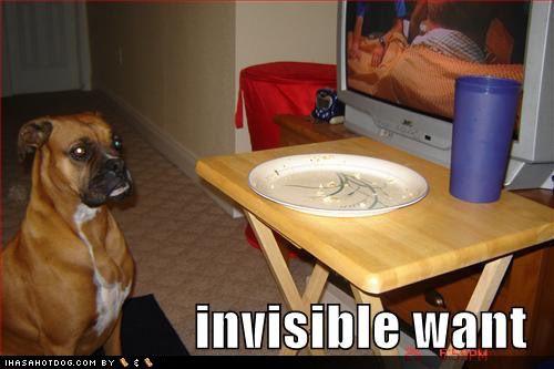 funny-dog-pictures-tv-dinner-tray-i.jpg